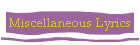 Miscellaneous Lyrics